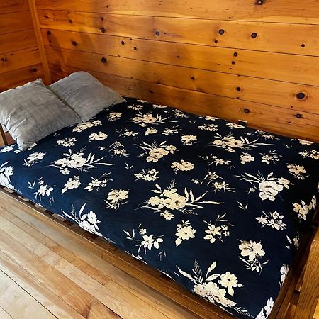 Bright And Cozy Treehouse Apartment 벌링턴 외부 사진